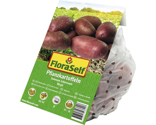 FloraSelf Pflanzkartoffeln der Sorte Birgit in perforierter Verpackung