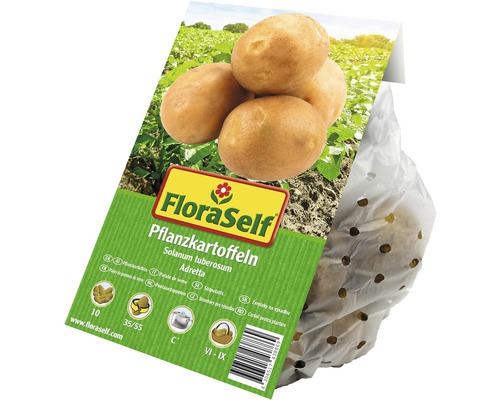FloraSelf Pflanzkartoffeln im perforierten Beutel