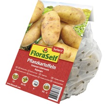 FloraSelf Pflanzkartoffeln Asparges in einer Verpackung