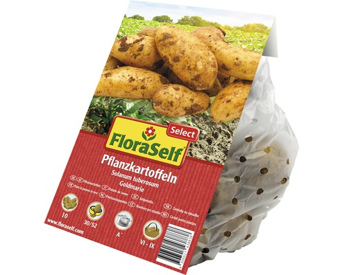 FloraSelf Pflanzkartoffeln Sorte Goldmarie im Sack