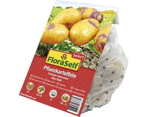 FloraSelf Pflanzkartoffeln Sorte Blue Belle, 10 Stück, Größe 35 bis 50 Millimeter