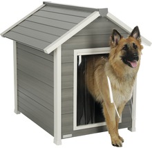 Hund im Hundehaus mit Lamellentür