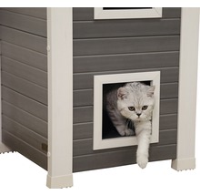 Katze betritt ein graues Katzenhaus mit weißem Rahmen