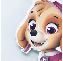 Nahaufnahme von Skye von Paw Patrol