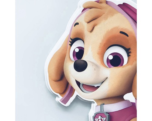 Nahaufnahme von Skye von Paw Patrol