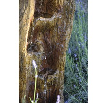Gartenbrunnen mit Baumstammdesign und Wasserspiel