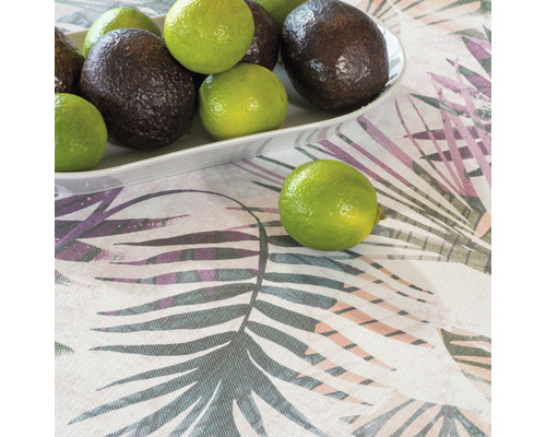 Avocados und Limetten auf einem Teller auf einer Tischdecke mit Blättermuster.