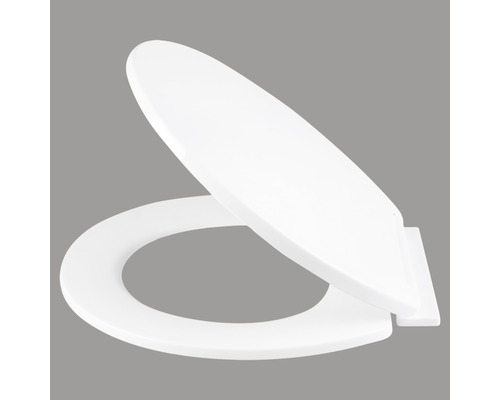 Toilettendeckel aus Kunststoff, geöffnet