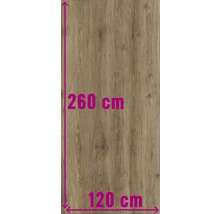 Holzpaneel mit den Maßen 260 mal 120 Zentimeter