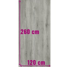 Dekorplatte mit den Maßen 260 cm mal 120 cm