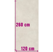 Größenangabe: 260 cm Höhe, 120 cm Breite