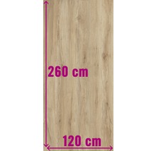 Holzplatte mit den Maßen 260 cm mal 120 cm