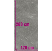 Große graue Wandfliese mit Marmorstruktur, 260 cm hoch und 120 cm breit
