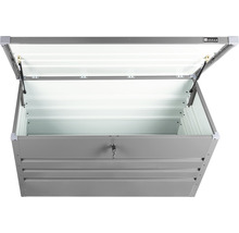 Geöffnete Gerätebox aus Metall mit Schloss