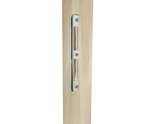 Holztürblatt mit Schlosskasten