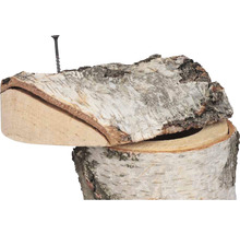 Birkenholz-Hocker mit Schraube