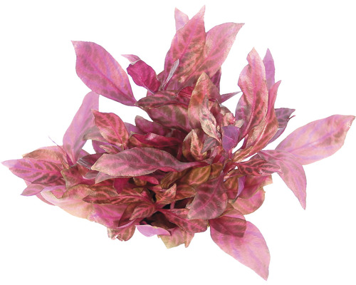 Künstliche Aquarienpflanze mit Blättern