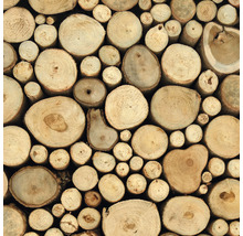 Holzstapel mit Baumscheiben unterschiedlicher Größe