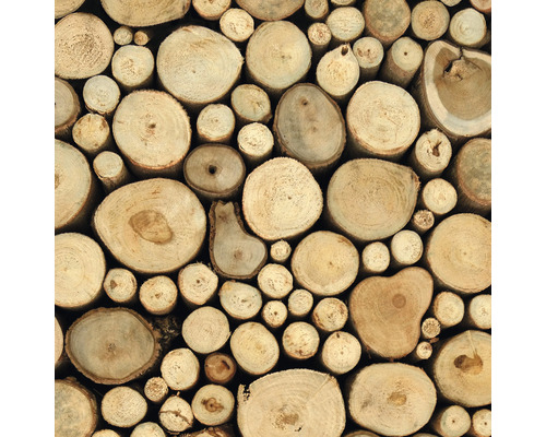 Holzstapel mit Baumscheiben unterschiedlicher Größe