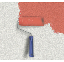 Farbe wird mit Farbroller auf eine Wand aufgetragen