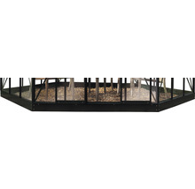 Gewächshaus Halls Atrium Sicherheitsglas 3 mm 375 x 375 cm grün