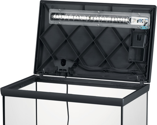 Offenes Aquarium mit Beleuchtung im Deckel