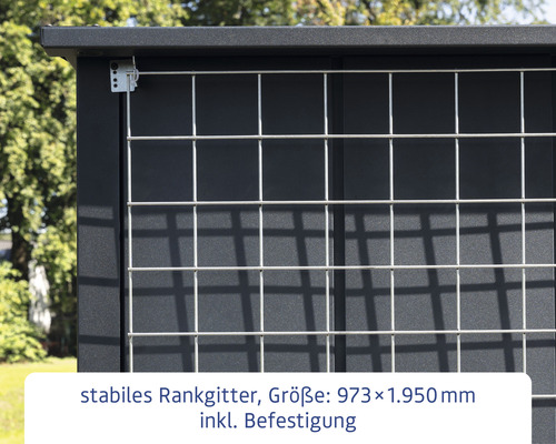 Stabiles Rankgitter mit Befestigung, Größe 973 x 1950 Millimeter
