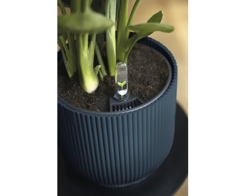 Blumentopf mit Feuchtigkeitsmesser im Erdreich