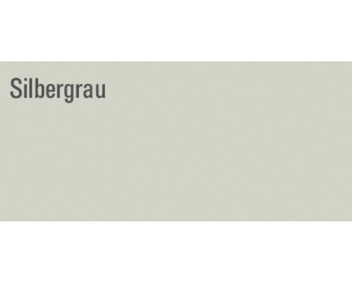 Farbfeld Silbergrau