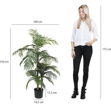 Künstliche Arekapalme im Topf, 150 cm hoch