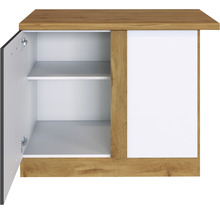 Hängeschrank mit einer Tür und zwei Regalböden