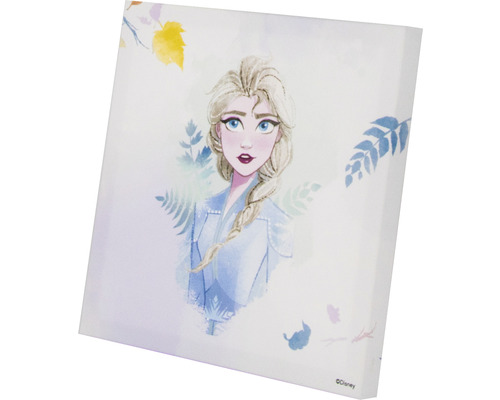 Disney Die Eiskönigin Wandbild mit Elsa Motiv