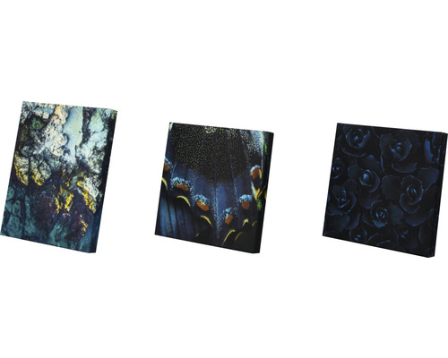 Drei Leinwandbilder mit unterschiedlichen Motiven: Felsen, Schmetterling, Rosen