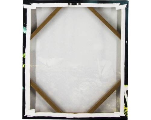 Rückseite einer Leinwand mit Holzrahmen und Aufhängevorrichtung