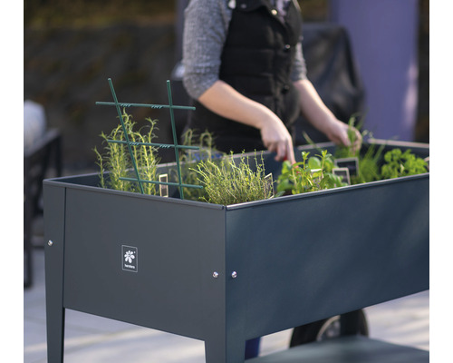 Hochbeet mit Kräutern und Pflanzen im Garten