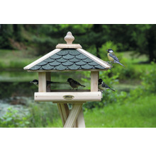 Vogelhaus mit mehreren Vögeln im Garten