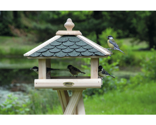 Vogelhaus mit mehreren Vögeln im Garten