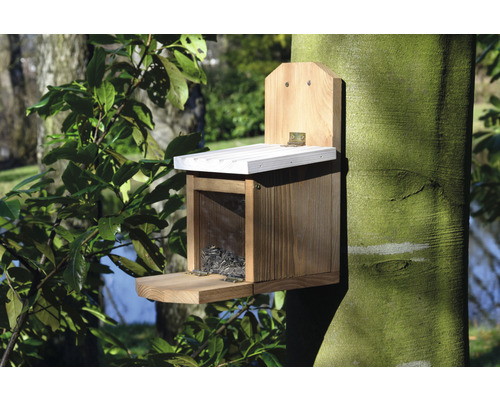 Eichhörnchenfutterhaus aus Holz am Baum befestigt