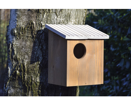 Holz-Nistkasten mit rundem Eingangsloch an einem Baumstamm