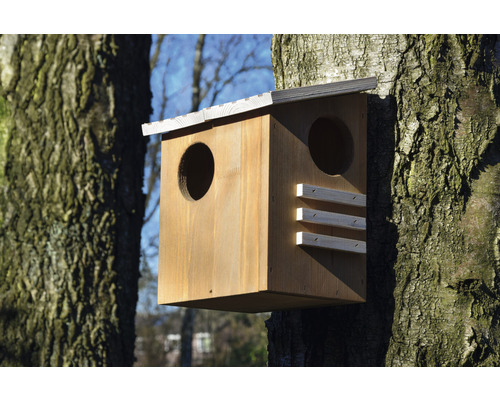 Holz-Nistkasten mit zwei Einfluglöchern am Baum