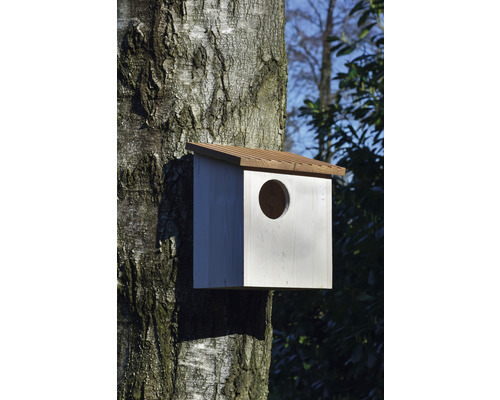 Nistkasten aus Holz an einem Baumstamm mit rundem Eingangsloch.