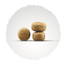 Drei runde Hundefutter-Kroketten