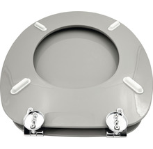 Toilettensitz mit verchromten Scharnieren und Befestigung