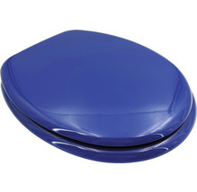 Blauer WC-Sitz