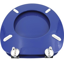 Toilettendeckel mit Scharnieren