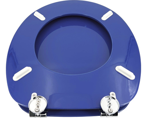 Toilettendeckel mit Scharnieren