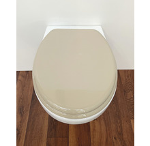 Aufnahme einer Toilette mit geschlossenem Toilettendeckel