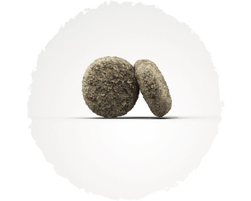 Zwei runde Pflanzentöpfe aus Stein