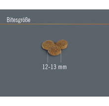 Hundefutter trocken FINEVO Adult Dog M Huhn 15 kg-thumb-3 Hundefutter trocken FINEVO Adult Dog M Huhn 15 kg-thumb-3