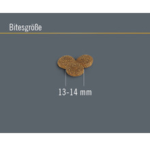 Hundefutter trocken FINEVO Senior Dog Huhn 3 kg-thumb-2 Hundefutter trocken FINEVO Senior Dog Huhn 3 kg-thumb-2